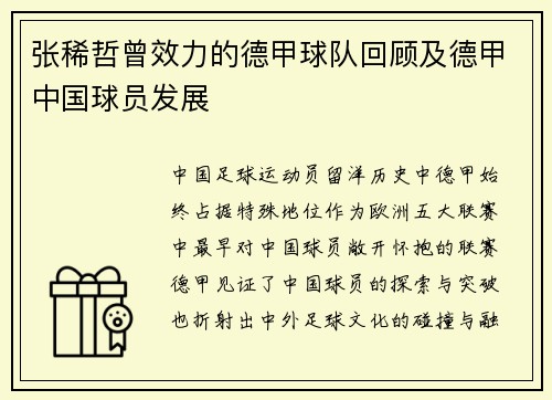 张稀哲曾效力的德甲球队回顾及德甲中国球员发展