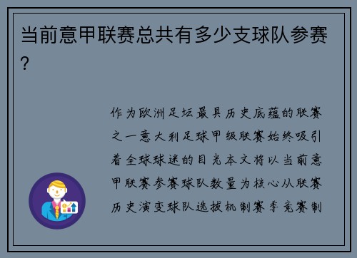 当前意甲联赛总共有多少支球队参赛？