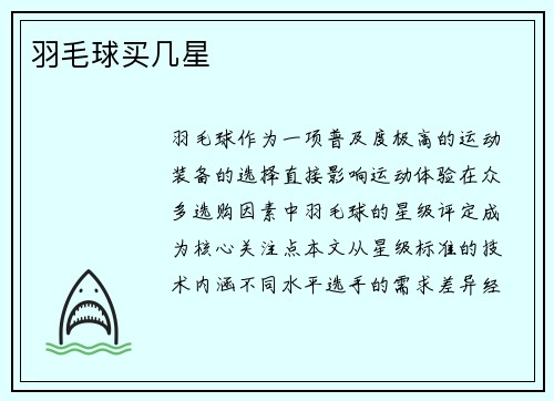 羽毛球买几星